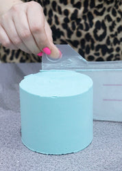 Frost Form - 4" (10cm) Bento Kit -  Round Cake Decorating Kit