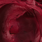 Color Mill - Colorant à l'huile 20ml - Merlot
