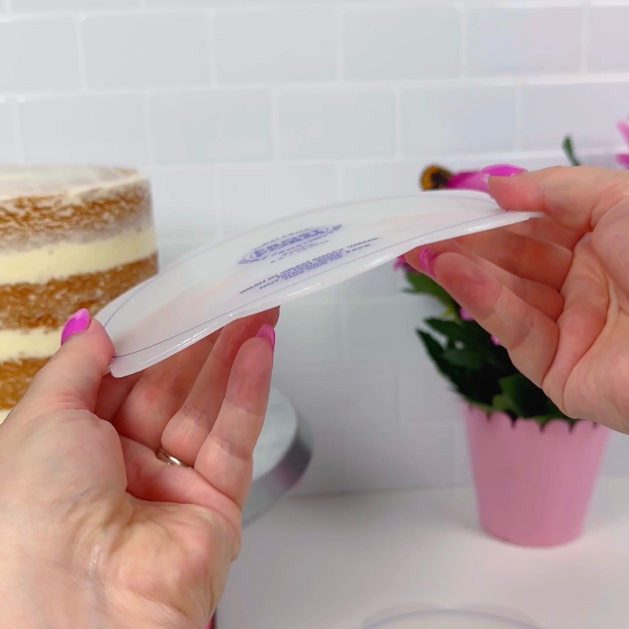 Scallop Flexi Frost - Set of 2 - 8.5" scallop